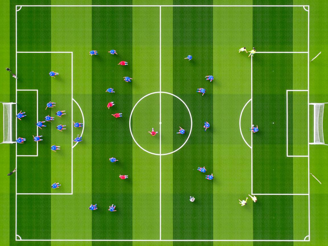 杏彩平台官网-世界前十蛙泳选手划水效率分析,蛙泳 划水率 第3张