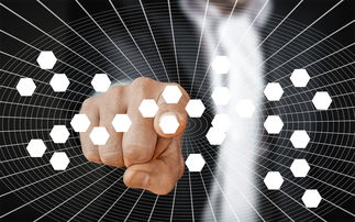 杏彩娱乐官网-体育新闻中心发布体育行业数字版权保护白皮书,体育产业数字化创新 第3张